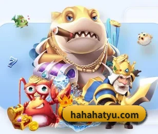 哈哈体育 APP